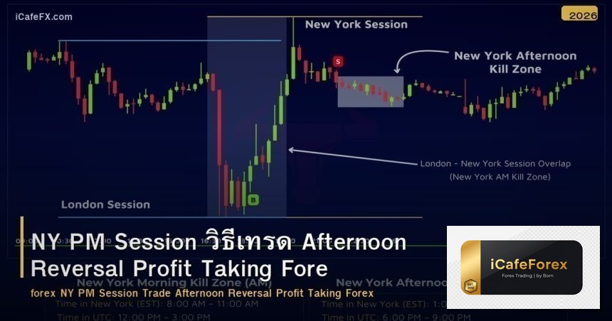 NY PM Session วิธีเทรด Afternoon Reversal Profit Taking Forex