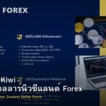 NZD/USD Kiwi วิธีเทรดดอลลาร์นิวซีแลนด์ Forex