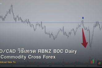NZD/CAD วิธีเทรด RBNZ BOC Dairy Oil Commodity Cross Forex