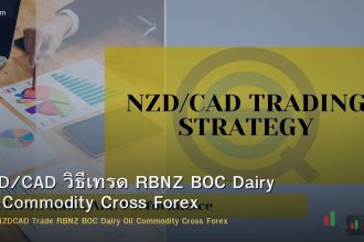 NZD/CAD วิธีเทรด RBNZ BOC Dairy Oil Commodity Cross Forex