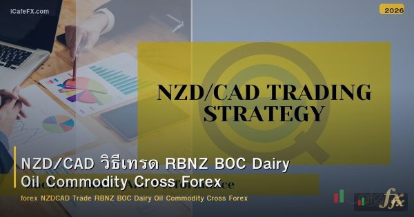 NZD/CAD วิธีเทรด RBNZ BOC Dairy Oil Commodity Cross Forex