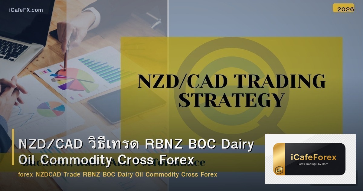 NZD/CAD วิธีเทรด RBNZ BOC Dairy Oil Commodity Cross Forex