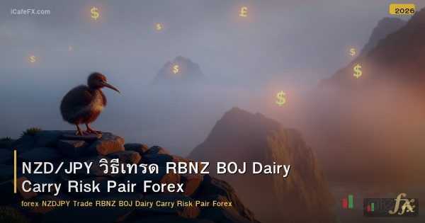 NZD/JPY วิธีเทรด RBNZ BOJ Dairy Carry Risk Pair Forex