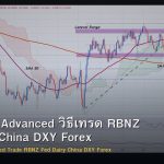 NZD/USD Advanced วิธีเทรด RBNZ Fed Dairy China DXY Forex