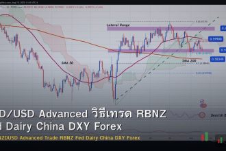 NZD/USD Advanced วิธีเทรด RBNZ Fed Dairy China DXY Forex