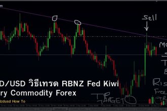 NZD/USD วิธีเทรด RBNZ Fed Kiwi Dairy Commodity Forex