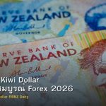 NZD/USD Kiwi Dollar คู่มือฉบับสมบูรณ์ Forex 2026