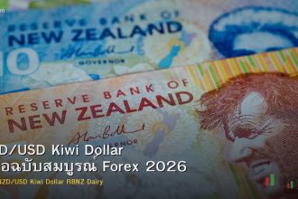 NZD/USD Kiwi Dollar คู่มือฉบับสมบูรณ์ Forex 2026