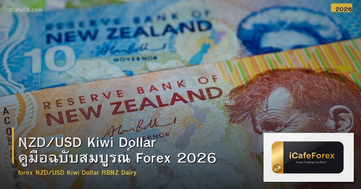 NZD/USD Kiwi Dollar คู่มือฉบับสมบูรณ์ Forex 2026