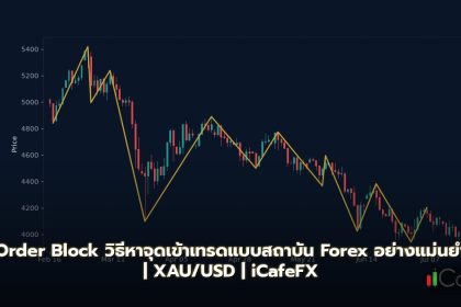 Order Block วิธีหาจุดเข้าเทรดแบบสถาบัน Forex
