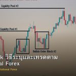 Order Block วิธีระบุและเทรดตาม Institutional Forex