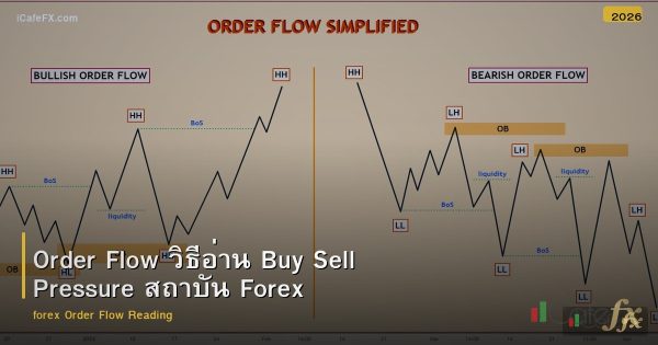 Order Flow วิธีอ่าน Buy Sell Pressure สถาบัน Forex
