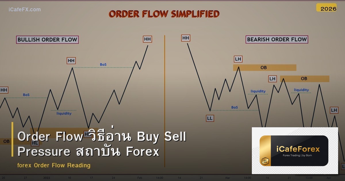Order Flow วิธีอ่าน Buy Sell Pressure สถาบัน Forex