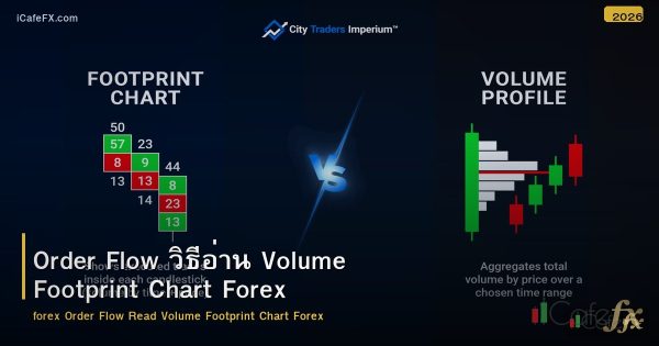Order Flow วิธีอ่าน Volume Footprint Chart Forex