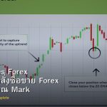 Order Types Forex ประเภทคำสั่งซื้อขาย Forex ฉบับสมบูรณ์ Market Limit Stop