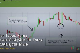 Order Types Forex ประเภทคำสั่งซื้อขาย Forex ฉบับสมบูรณ์ Market Limit Stop