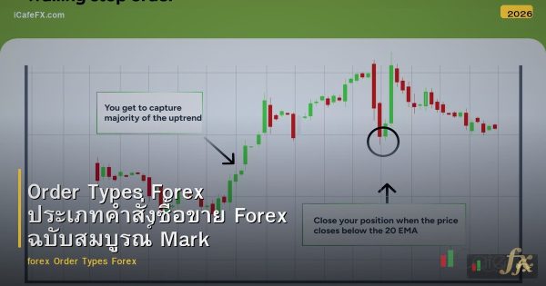 Order Types Forex ประเภทคำสั่งซื้อขาย Forex ฉบับสมบูรณ์ Market Limit Stop