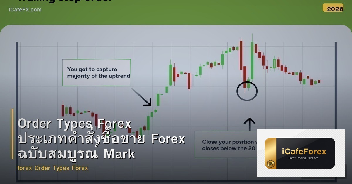 Order Types Forex ประเภทคำสั่งซื้อขาย Forex ฉบับสมบูรณ์ Market Limit Stop