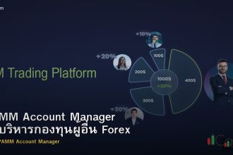 PAMM Account Manager วิธีบริหารกองทุนผู้อื่น Forex