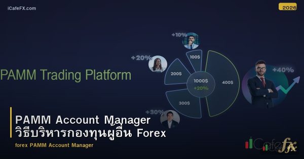 PAMM Account Manager วิธีบริหารกองทุนผู้อื่น Forex