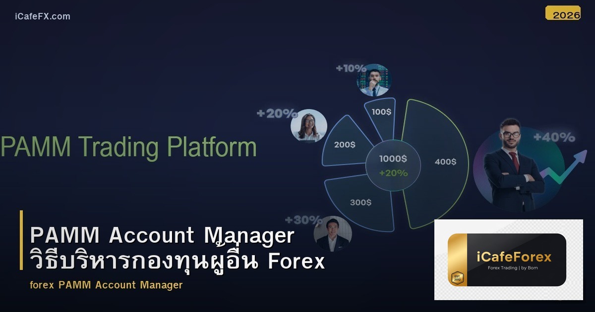PAMM Account Manager วิธีบริหารกองทุนผู้อื่น Forex