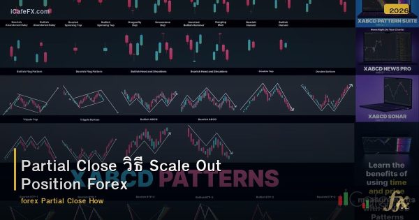 Partial Close วิธี Scale Out Position Forex