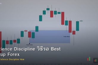 Patience Discipline วิธีรอ Best Setup Forex