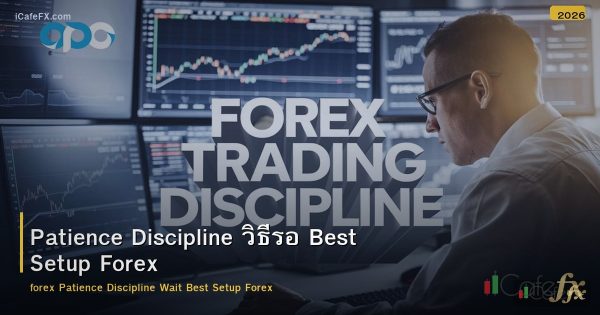 Patience Discipline วิธีรอ Best Setup Forex