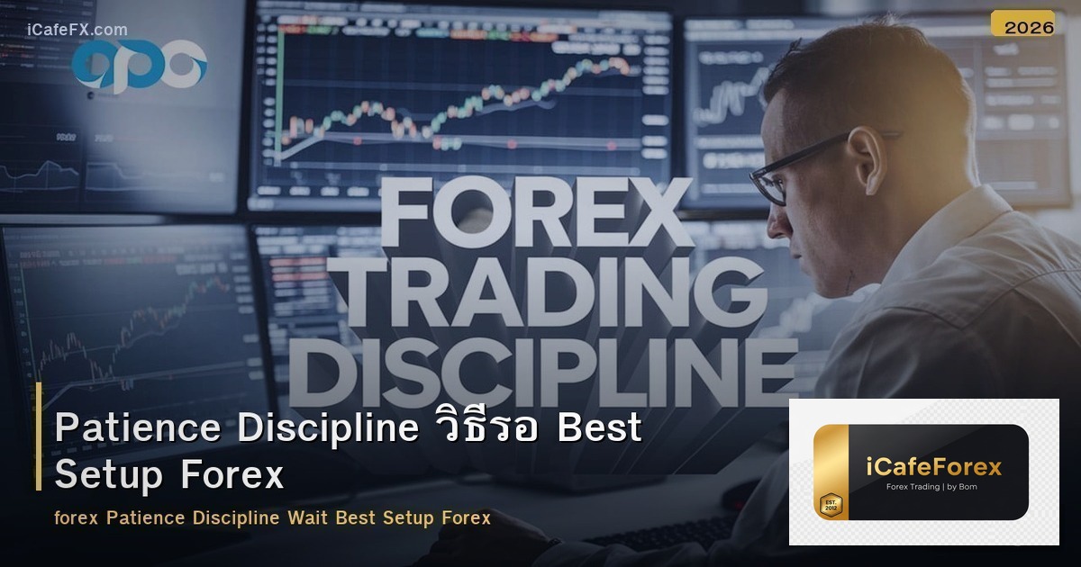 Patience Discipline วิธีรอ Best Setup Forex