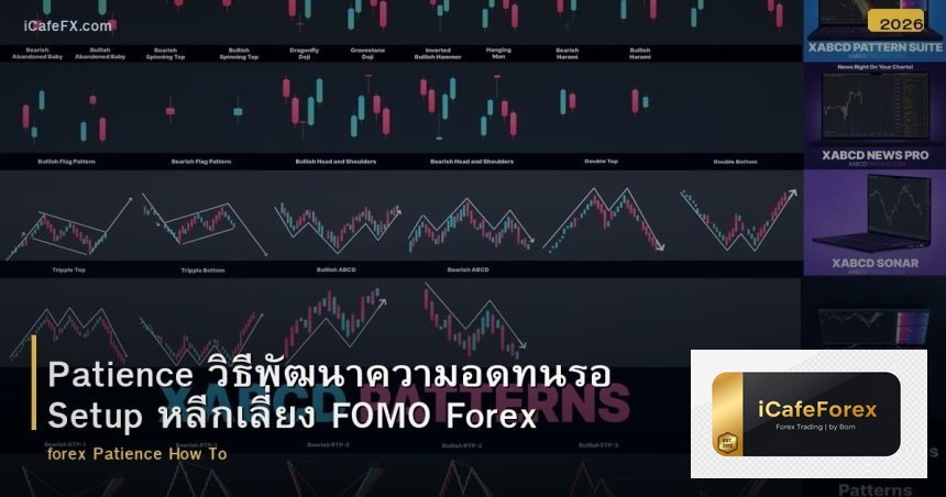 Patience วิธีพัฒนาความอดทนรอ Setup หลีกเลี่ยง FOMO Forex