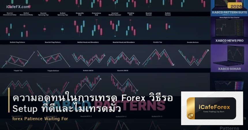 ความอดทนในการเทรด Forex วิธีรอ Setup ที่ดีและไม่เทรดมั่ว