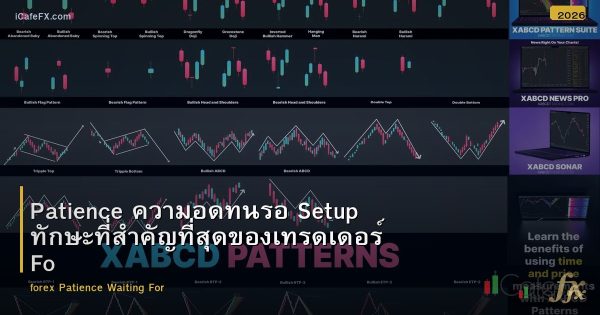 Patience ความอดทนรอ Setup ทักษะที่สำคัญที่สุดของเทรดเดอร์ Forex