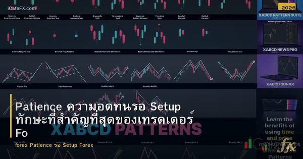 Patience ความอดทนรอ Setup ทักษะที่สำคัญที่สุดของเทรดเดอร์ Forex