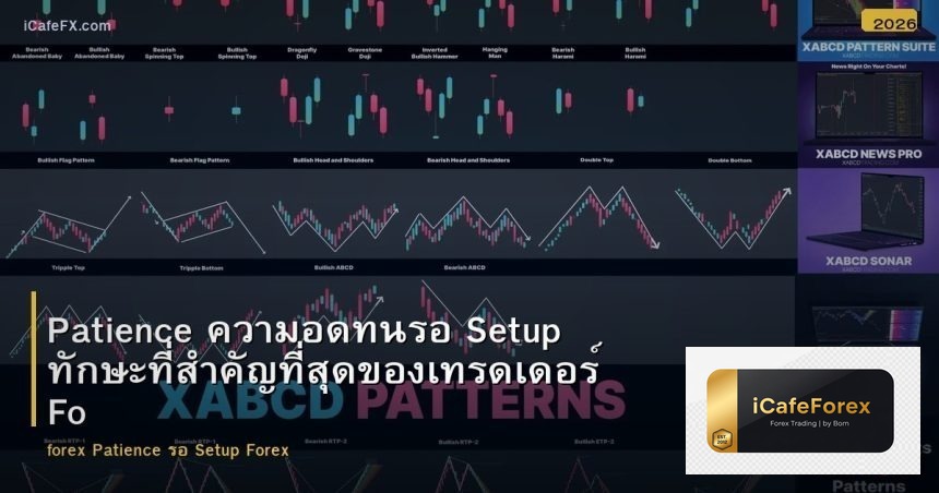 Patience ความอดทนรอ Setup ทักษะที่สำคัญที่สุดของเทรดเดอร์ Forex