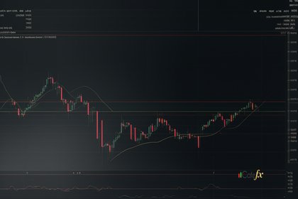 Peak Performance วิธีเข้า Zone State เพื่อ Optimal Trading Forex