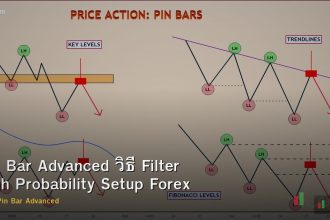 Pin Bar Advanced วิธี Filter High Probability Setup Forex