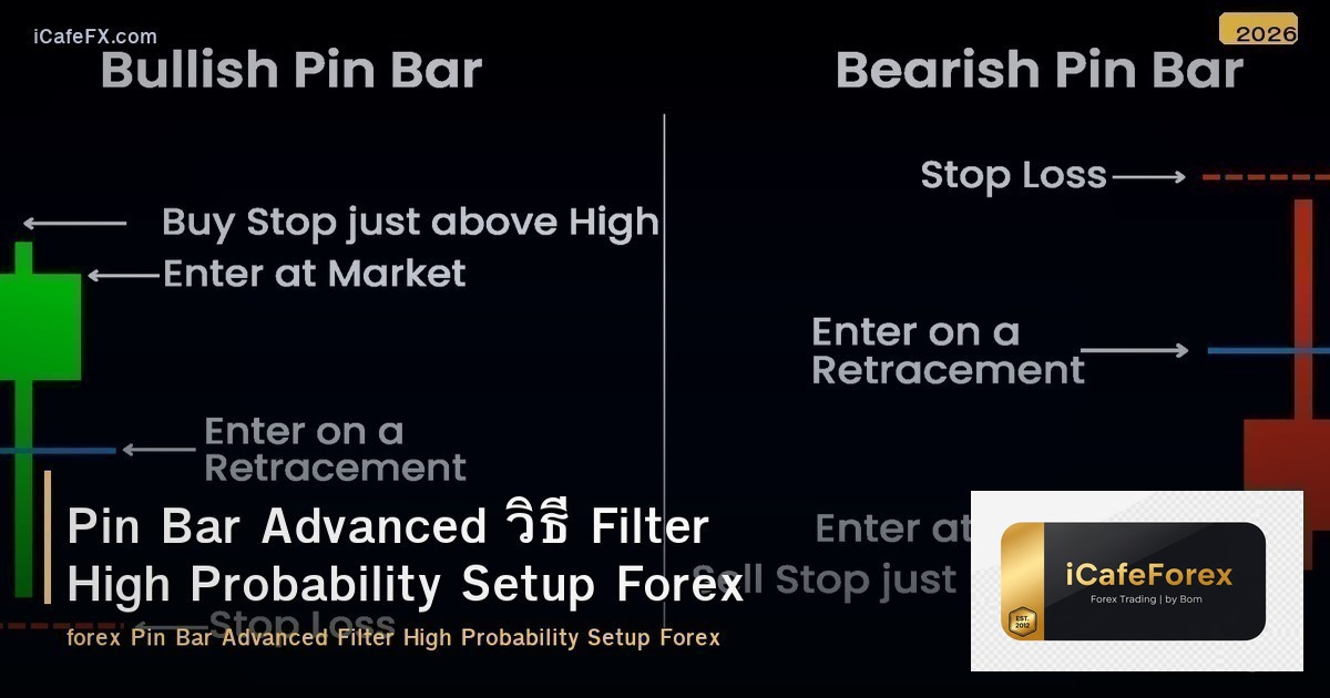 Pin Bar Advanced วิธี Filter High Probability Setup Forex