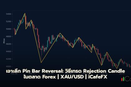 Pin Bar วิธีเทรด Rejection Candle Wick Reversal Forex