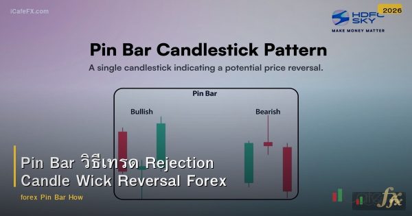 Pin Bar วิธีเทรด Rejection Candle Wick Reversal Forex