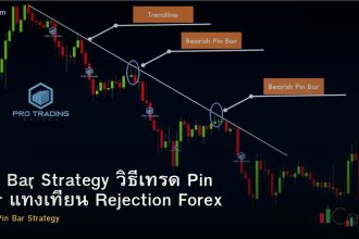 Pin Bar Strategy วิธีเทรด Pin Bar แท่งเทียน Rejection Forex