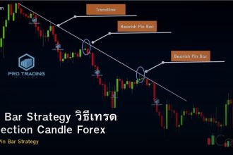 Pin Bar Strategy วิธีเทรด Rejection Candle Forex