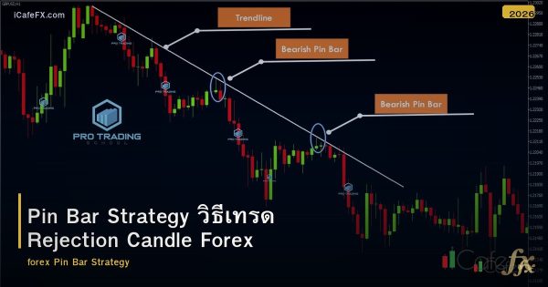 Pin Bar Strategy วิธีเทรด Rejection Candle Forex