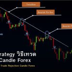Pin Bar Strategy วิธีเทรด Rejection Candle Forex อย่างมืออาชีพ