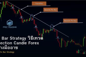 Pin Bar Strategy วิธีเทรด Rejection Candle Forex อย่างมืออาชีพ