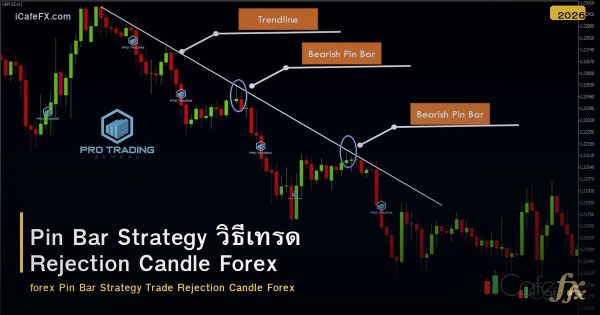 Pin Bar Strategy วิธีเทรด Rejection Candle Forex