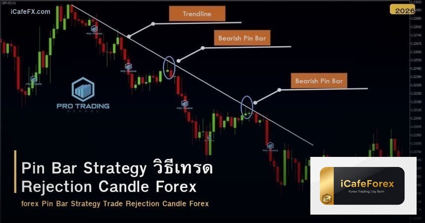 Pin Bar Strategy วิธีเทรด Rejection Candle Forex
