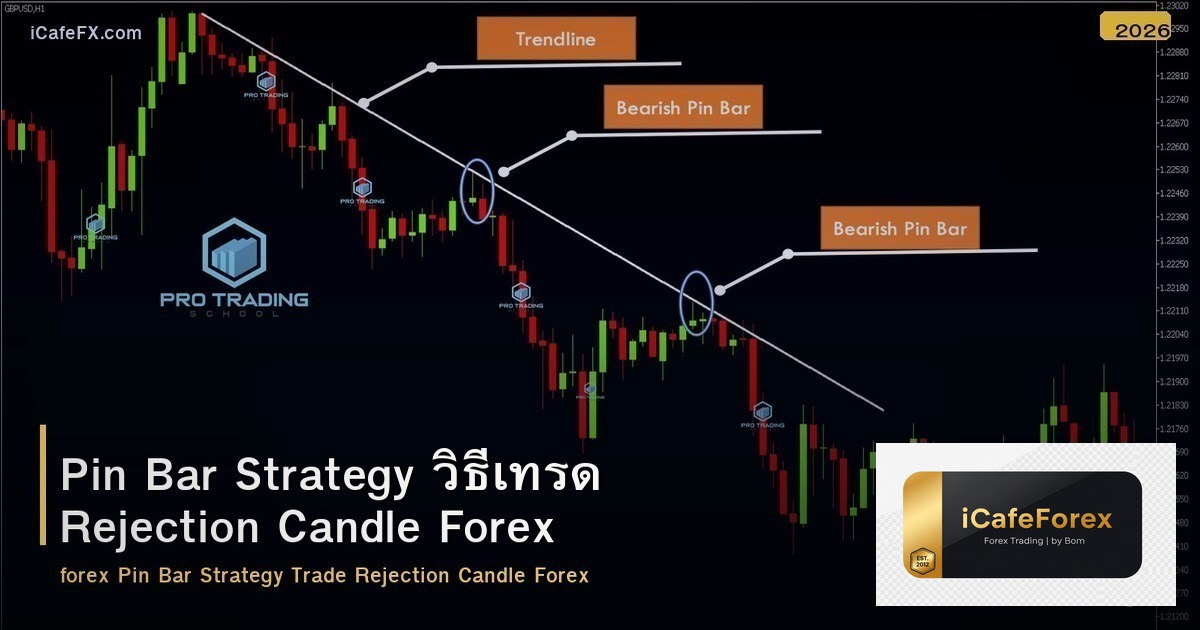 Pin Bar Strategy วิธีเทรด Rejection Candle Forex