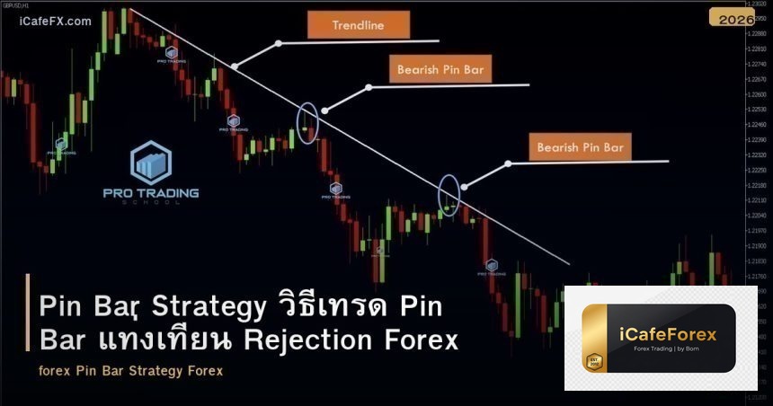 Pin Bar Strategy วิธีเทรด Pin Bar แท่งเทียน Rejection Forex