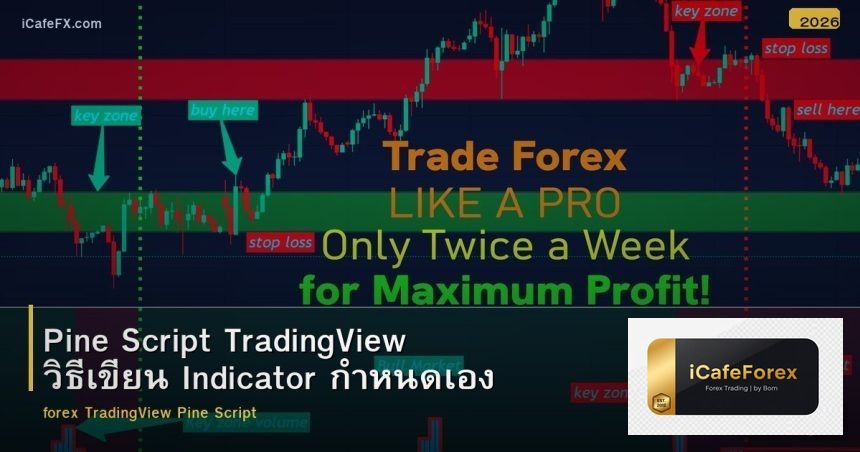 Pine Script TradingView วิธีเขียน Indicator กำหนดเอง