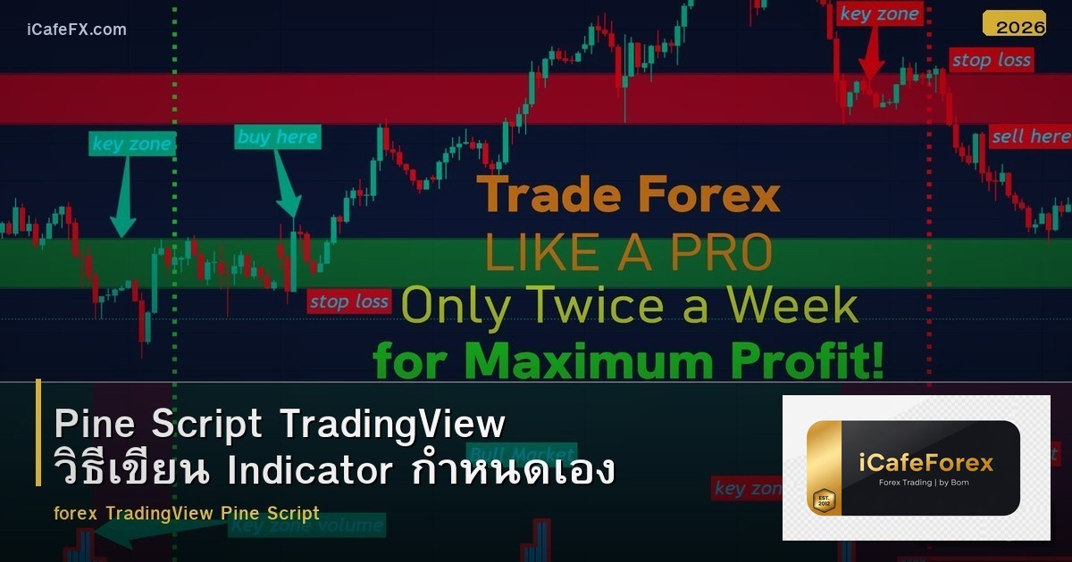 Pine Script TradingView วิธีเขียน Indicator กำหนดเอง
